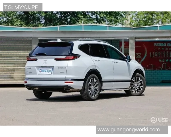 足球球星代言最多的广告语背后隐藏的商业价值与市场策略分析 足球球星代言最多的广告语背后隐藏的商业价值与市场策略分析