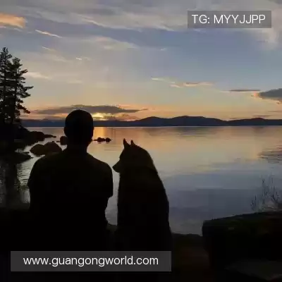 毛泳晟
